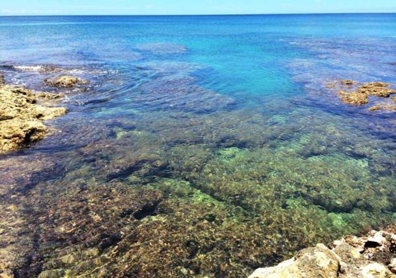 海中天旅店 Sea Of The World B&B Kenting Zewnętrze zdjęcie